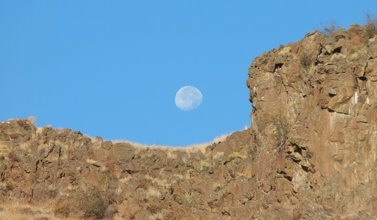 Looking up at the rimrock from the backyard. 