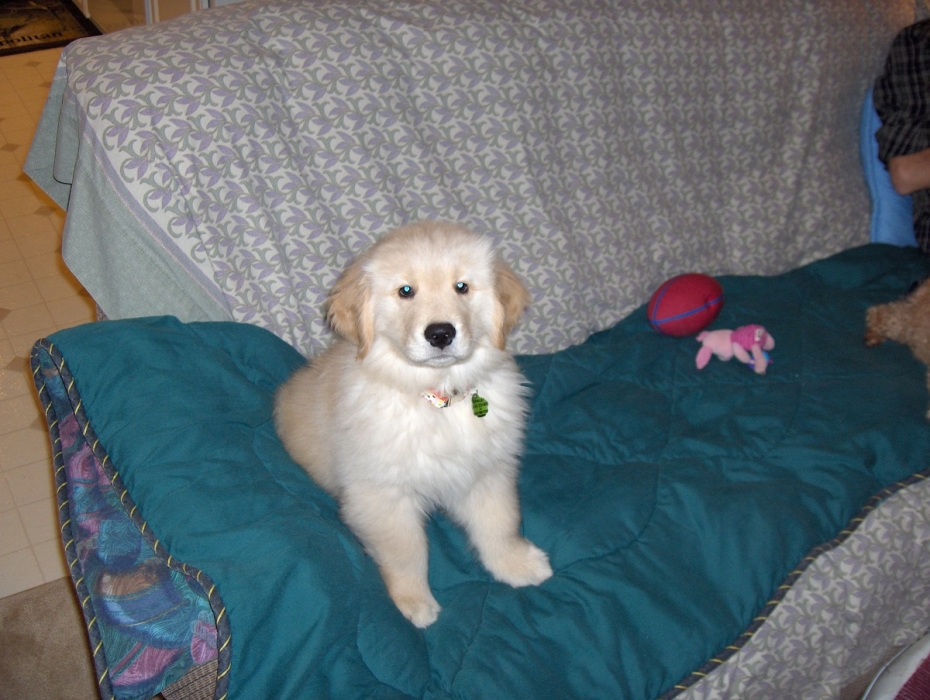 Potty training time