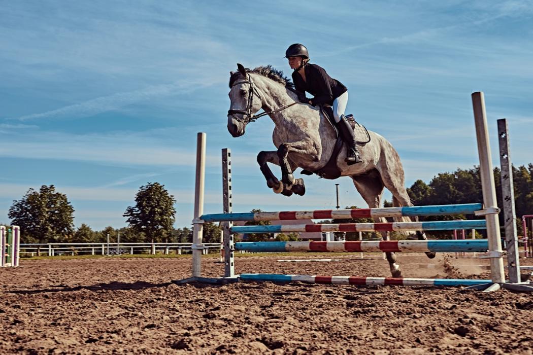dressage-jump.jpg