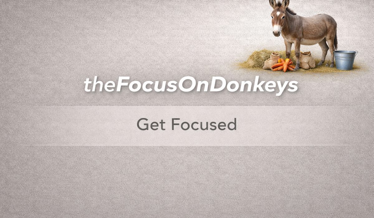 donkeys